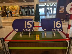 ザ・ロイヤルファミリー特別展 ゼッケン