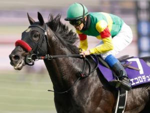 エコロデュエル