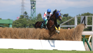 障害レース 置き障害