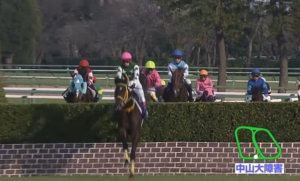 障害レース 設置障害